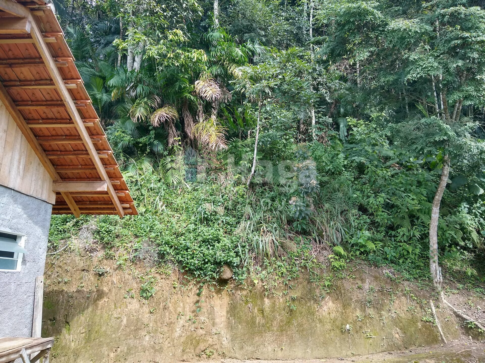Chácara de 2 ha em Rio dos Cedros, SC