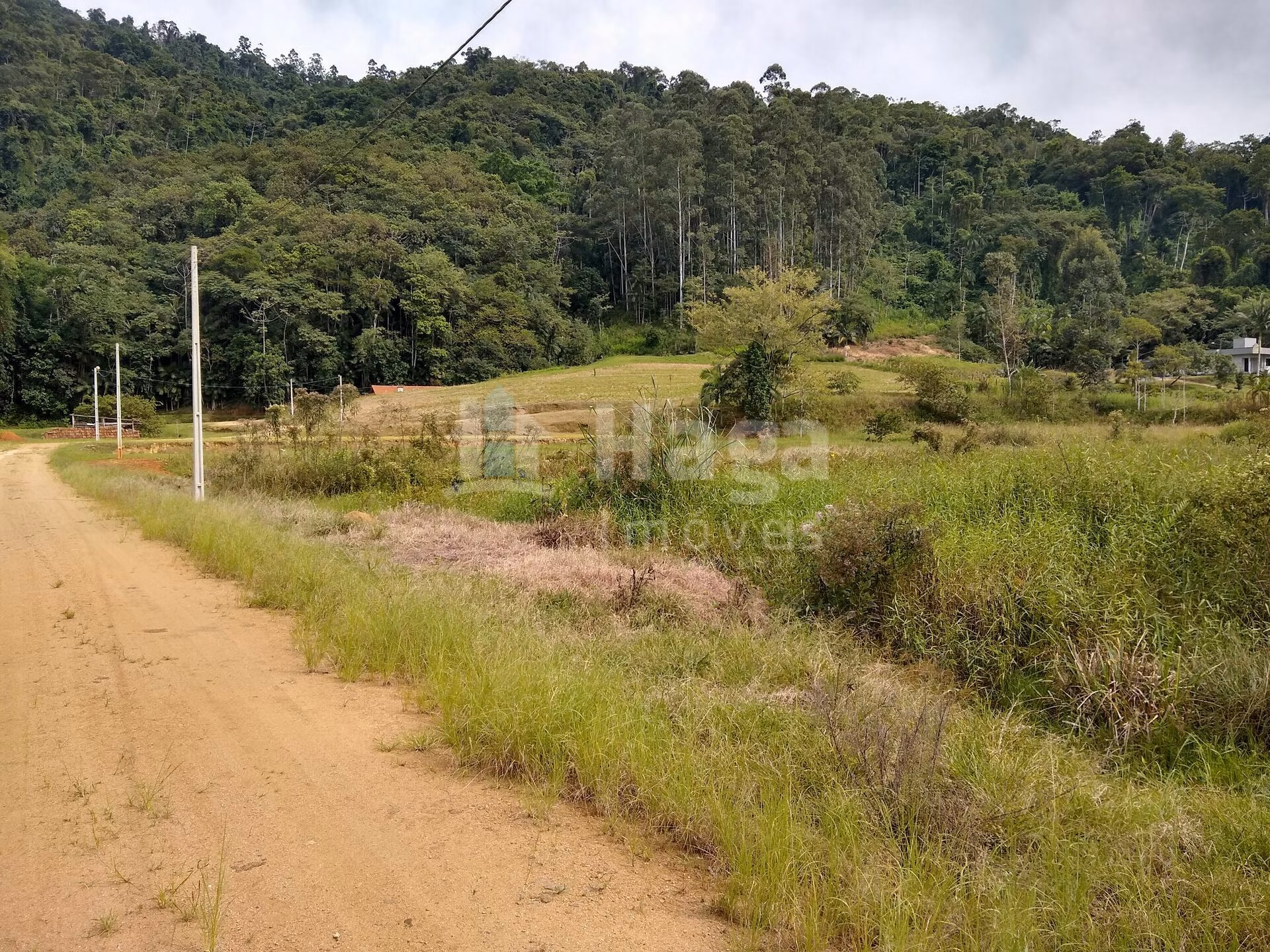 Chácara de 2 ha em Rio dos Cedros, SC