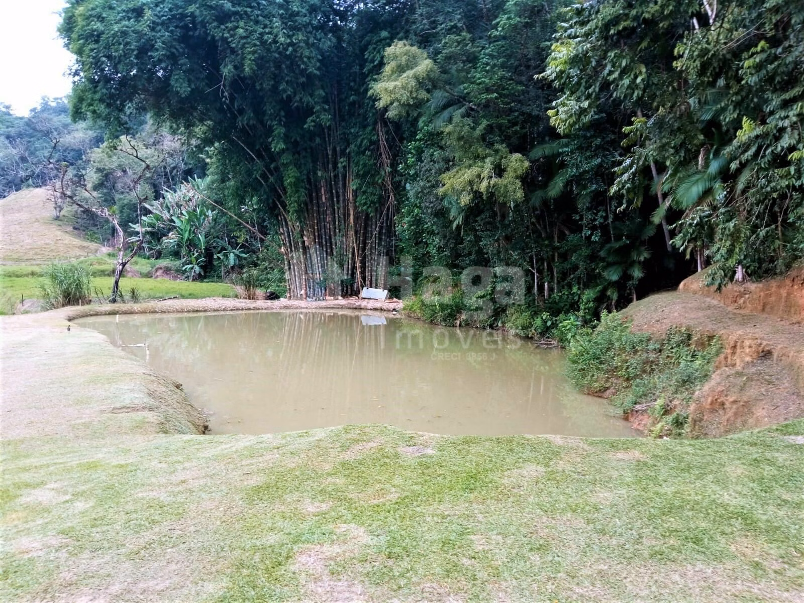 Chácara de 2 ha em Rio dos Cedros, SC