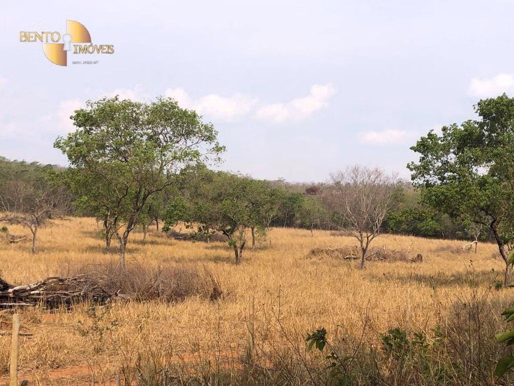Farm of 546 acres in Poxoréu, MT, Brazil