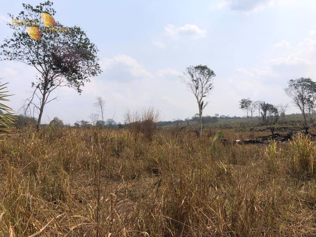 Farm of 546 acres in Poxoréu, MT, Brazil