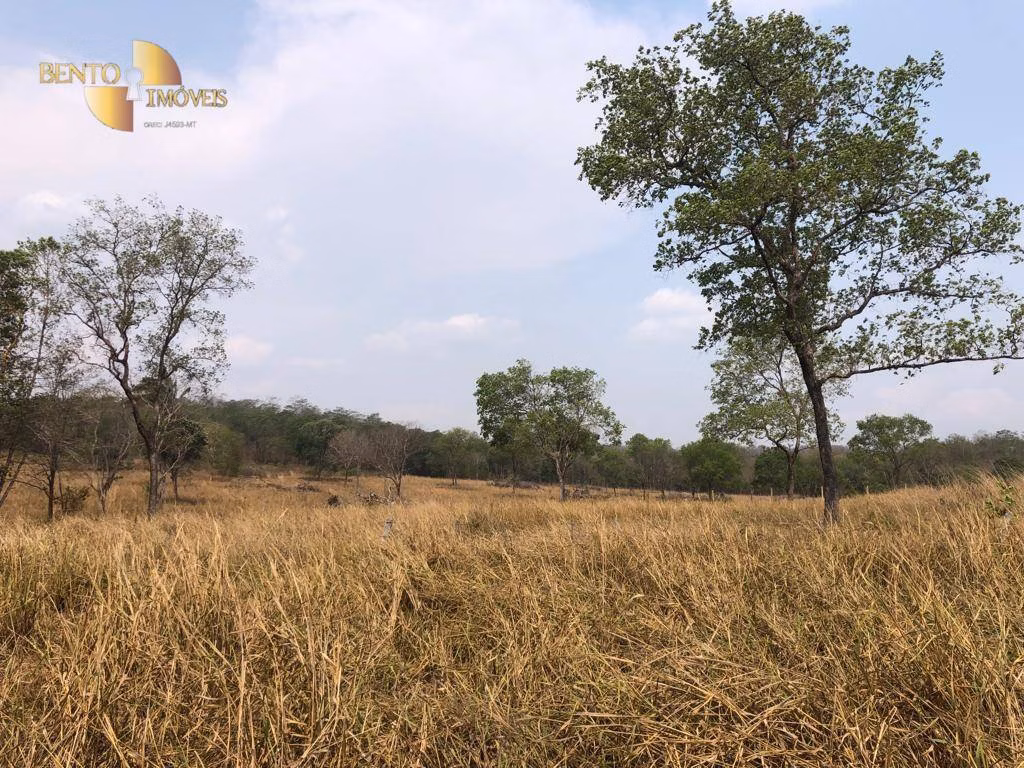 Farm of 546 acres in Poxoréu, MT, Brazil
