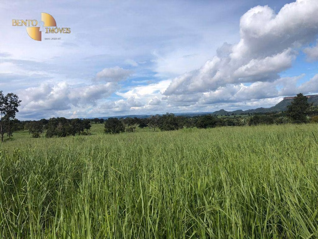 Farm of 546 acres in Poxoréu, MT, Brazil