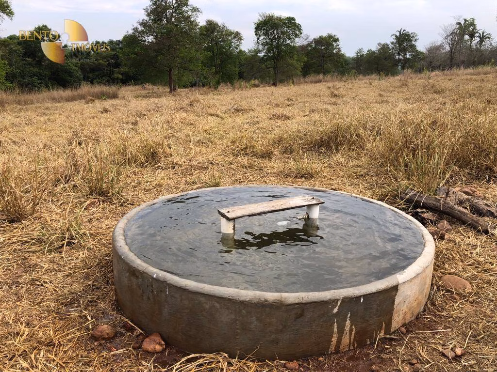 Farm of 546 acres in Poxoréu, MT, Brazil