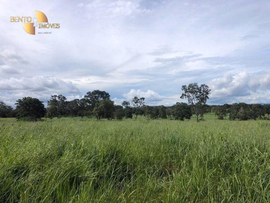 Farm of 546 acres in Poxoréu, MT, Brazil