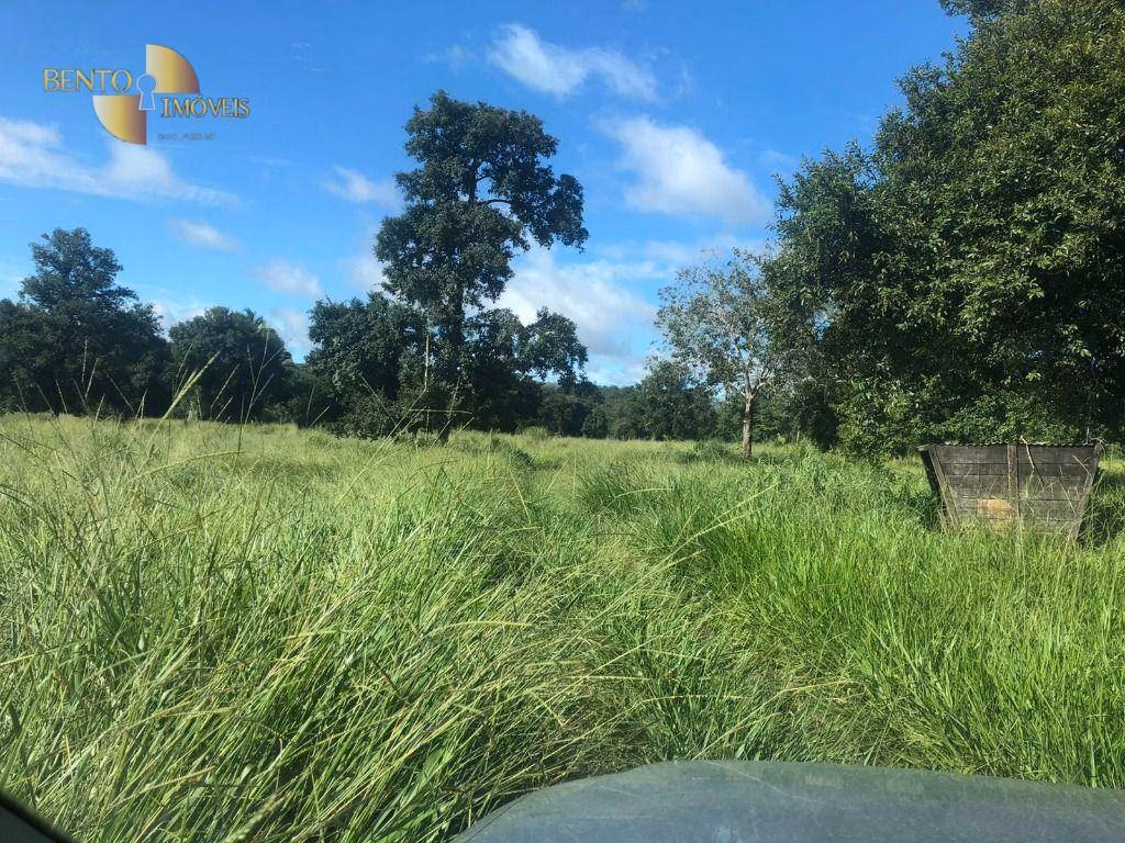 Farm of 546 acres in Poxoréu, MT, Brazil