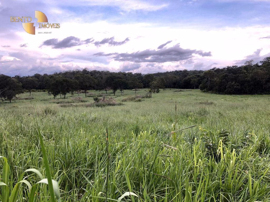 Farm of 546 acres in Poxoréu, MT, Brazil
