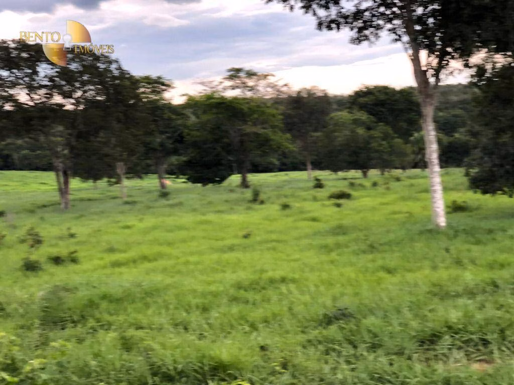 Farm of 546 acres in Poxoréu, MT, Brazil