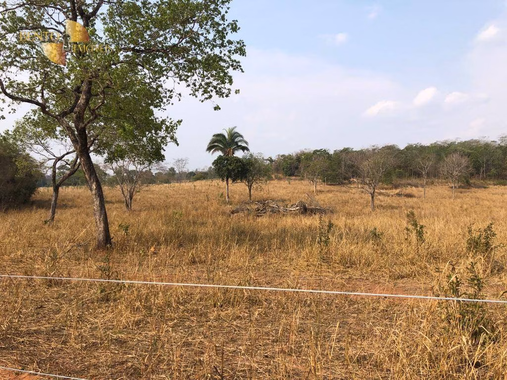 Farm of 546 acres in Poxoréu, MT, Brazil