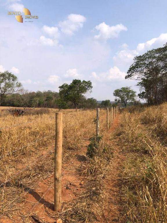 Fazenda de 221 ha em Poxoréu, MT