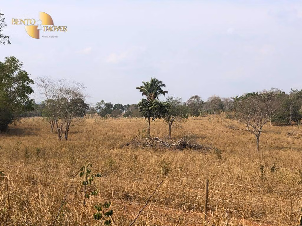Farm of 546 acres in Poxoréu, MT, Brazil