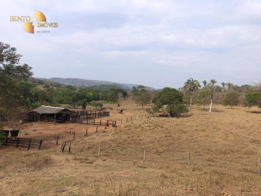 Farm of 546 acres in Poxoréu, MT, Brazil