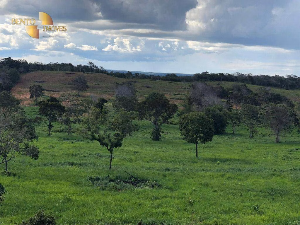 Farm of 546 acres in Poxoréu, MT, Brazil