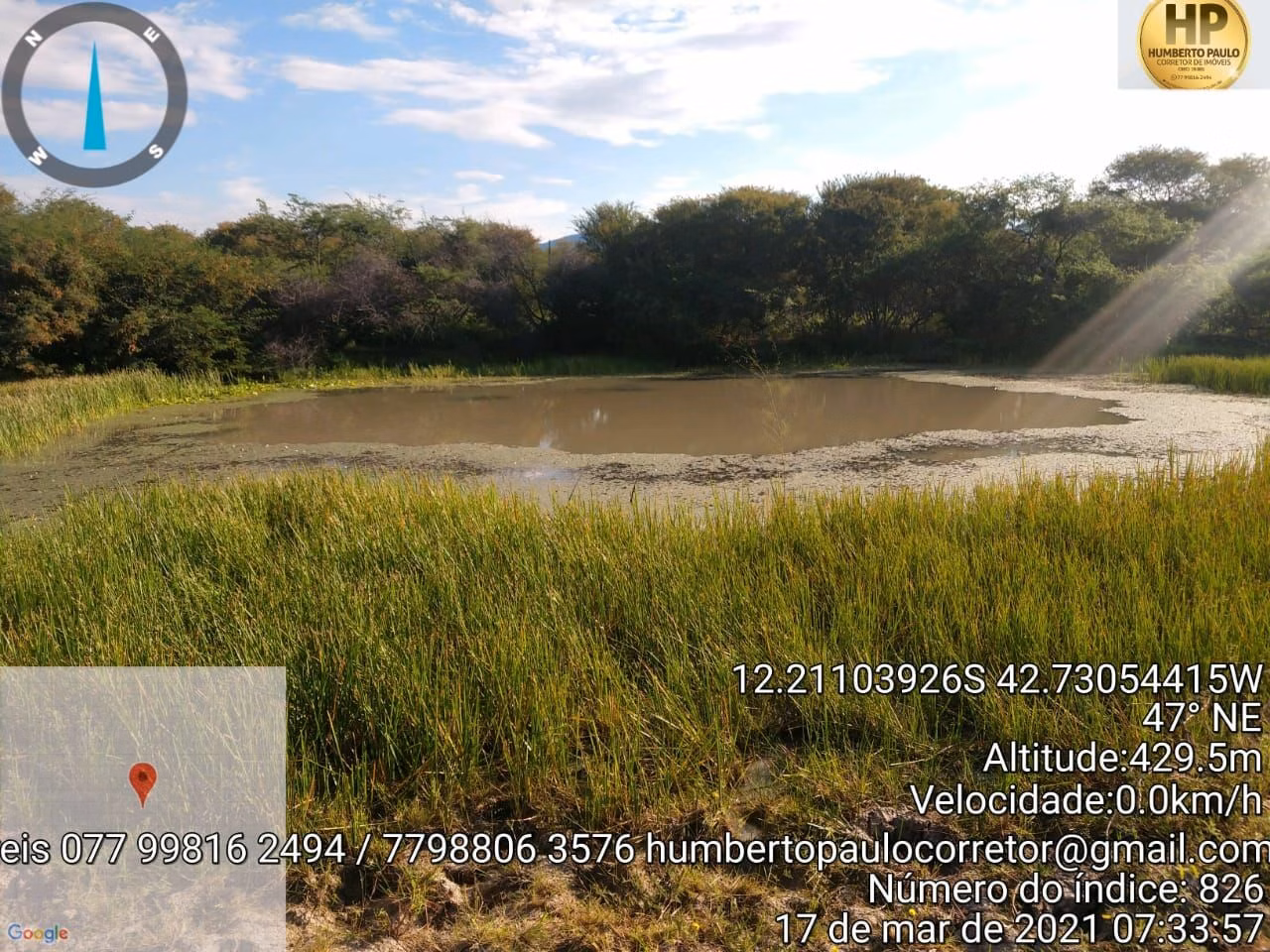 Fazenda de 600 ha em Oliveira dos Brejinhos, BA