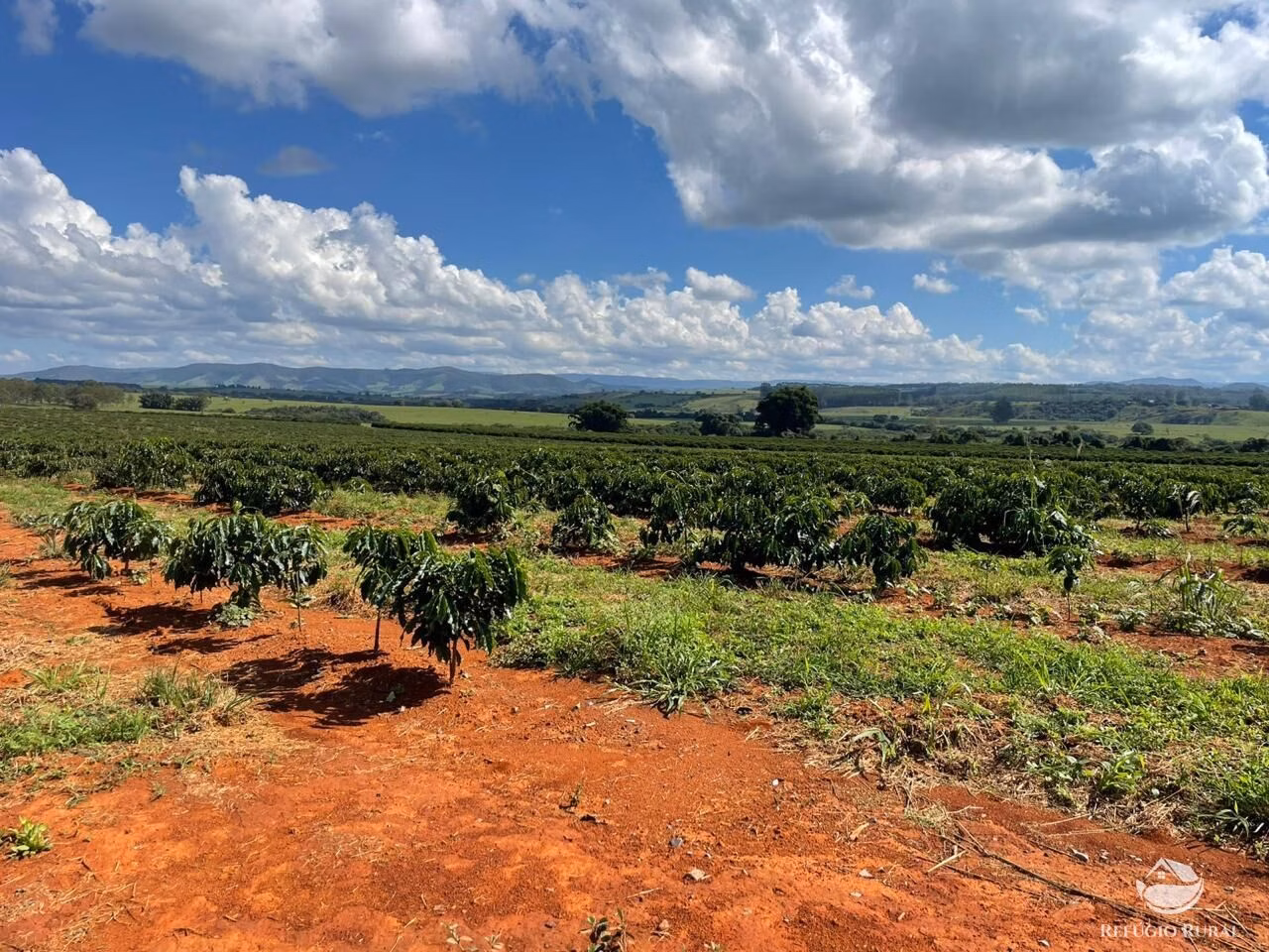 Fazenda à venda de 130 ha em Piumhi, MG