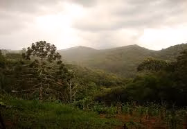 Plot of 346 acres in Nazaré Paulista, SP, Brazil