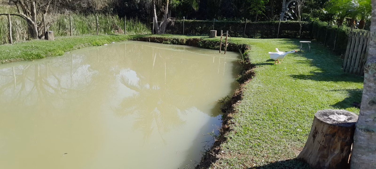 Chácara de 8.895 m² em Paraibuna, SP