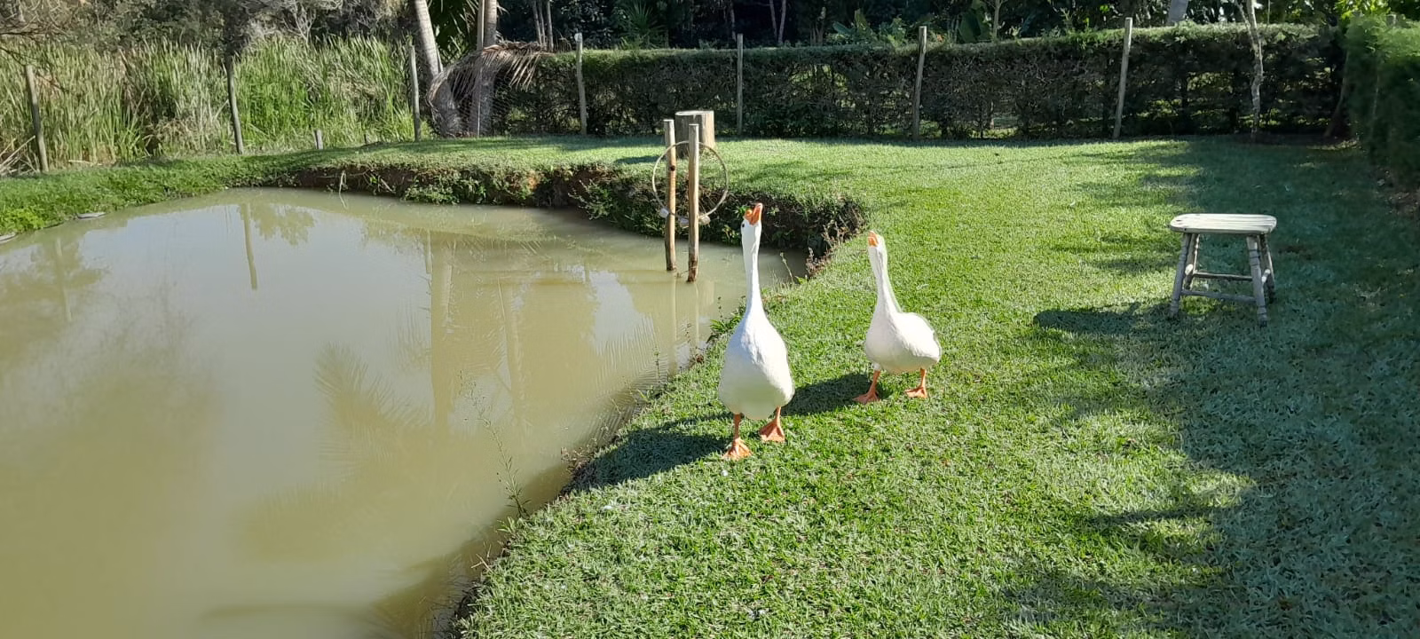 Chácara de 8.895 m² em Paraibuna, SP
