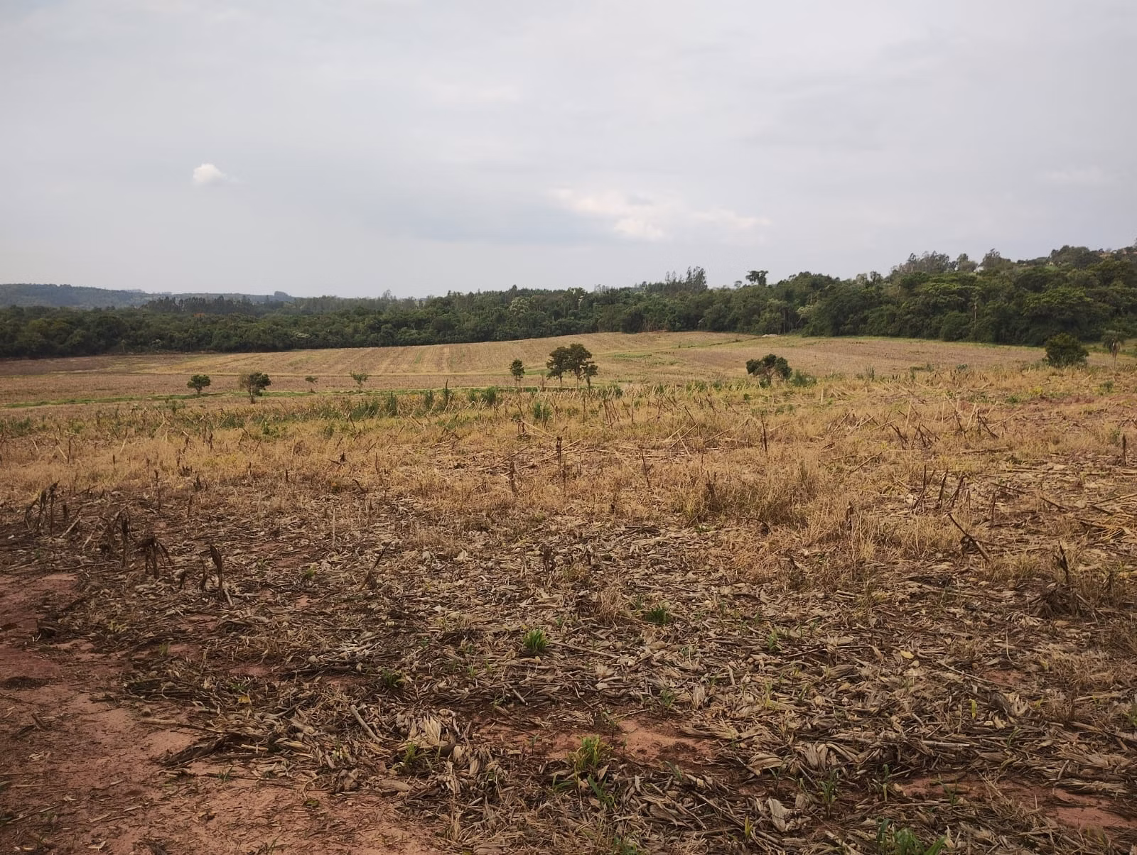 Sítio de 81 ha em Angatuba, SP
