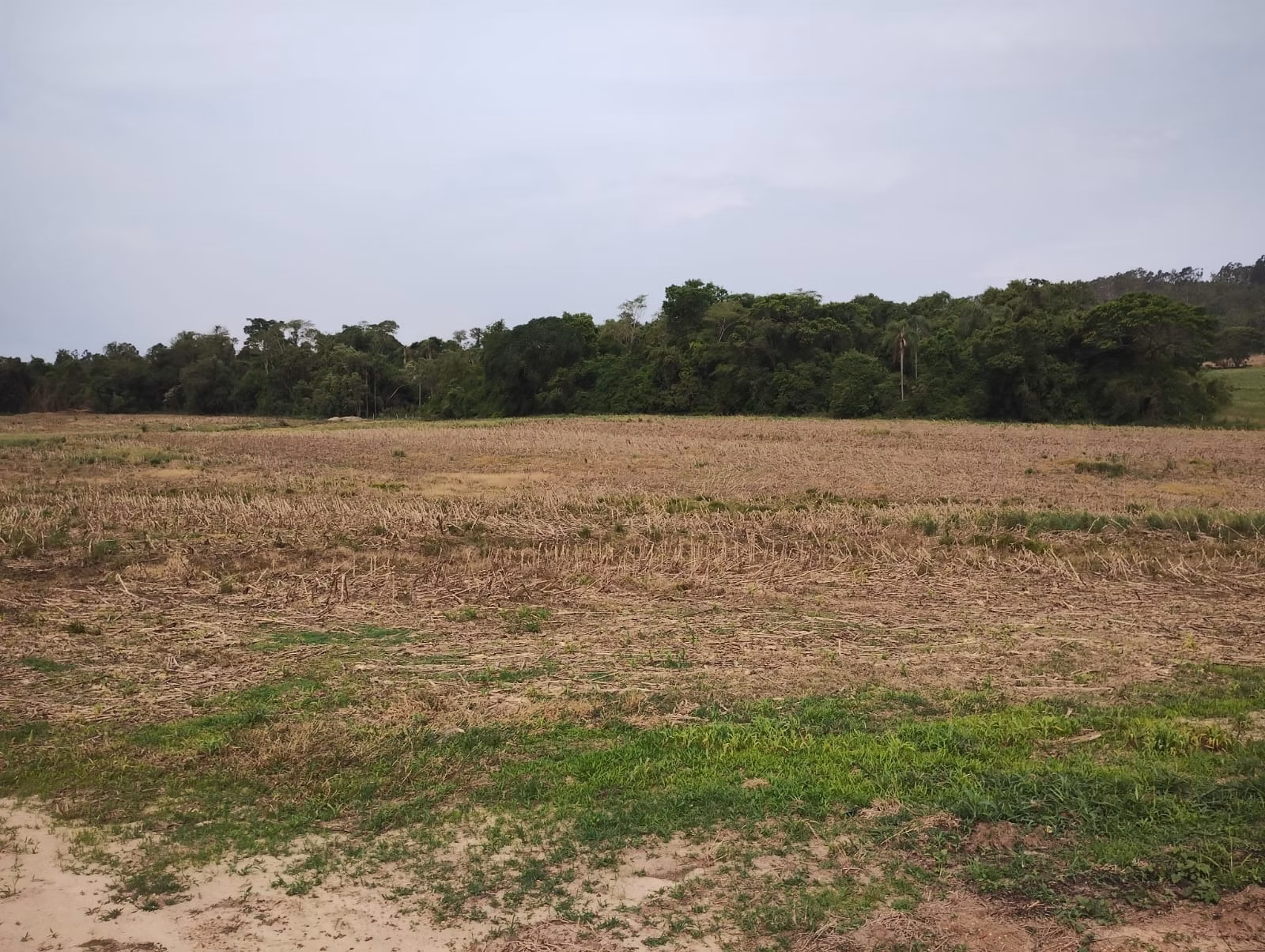 Sítio de 81 ha em Angatuba, SP