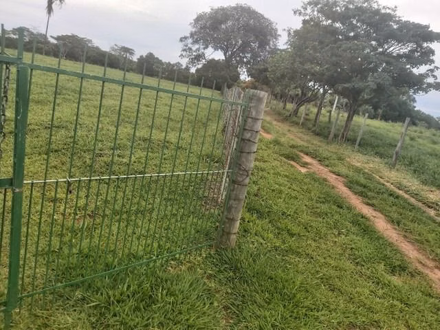 Chácara de 6 ha em Neves Paulista, SP