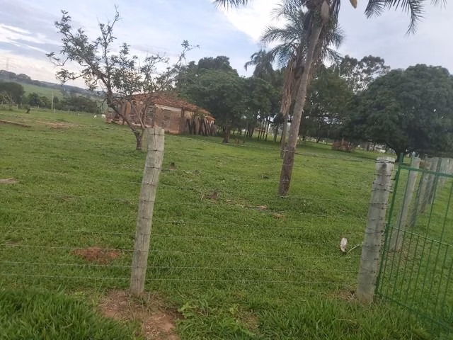 Chácara de 6 ha em Neves Paulista, SP