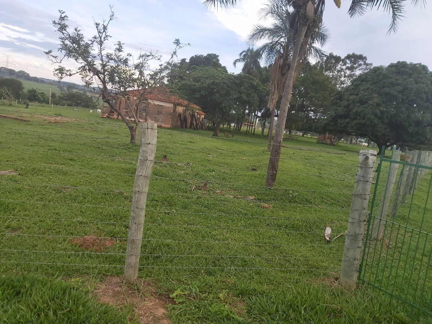 Chácara de 6 ha em Neves Paulista, SP