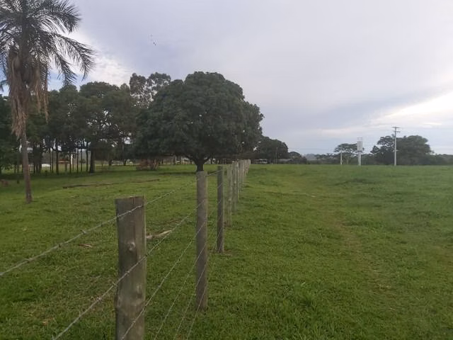 Chácara de 6 ha em Neves Paulista, SP