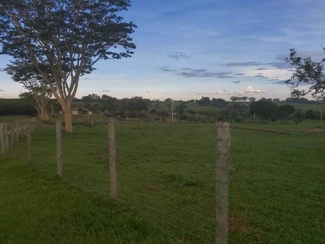 Chácara de 6 ha em Neves Paulista, SP