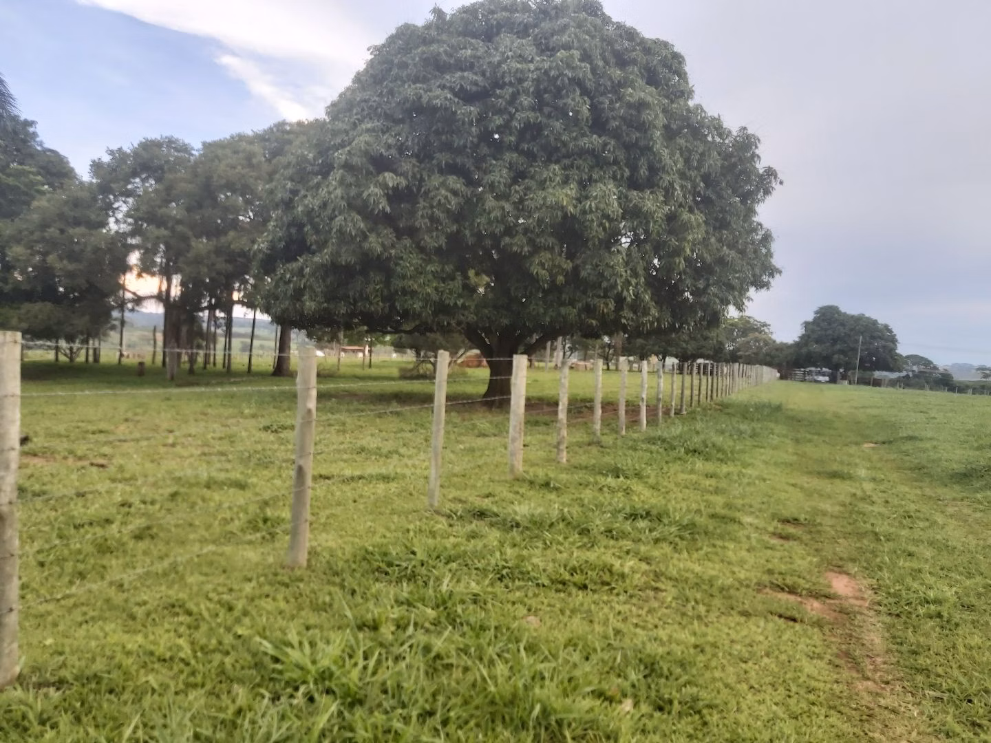 Chácara de 6 ha em Neves Paulista, SP