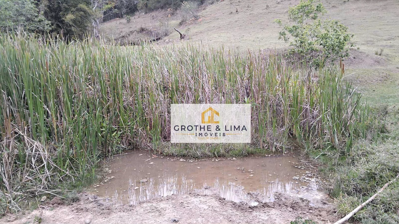 Sítio de 61 ha em Cachoeira Paulista, SP