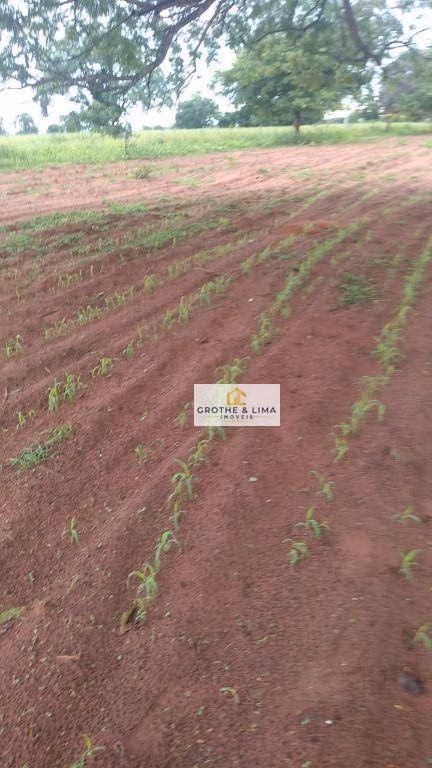 Fazenda de 413 ha em Três Lagoas, MS