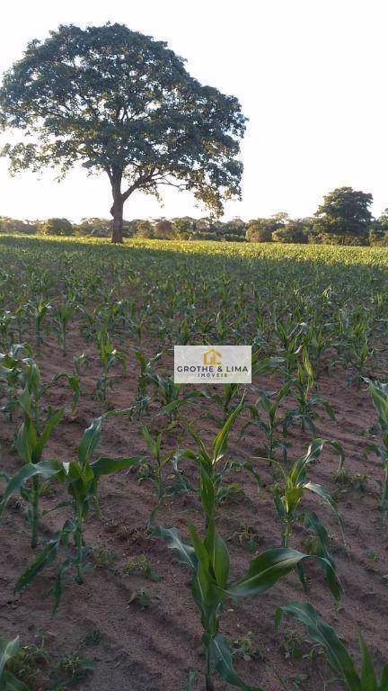 Fazenda de 413 ha em Três Lagoas, MS