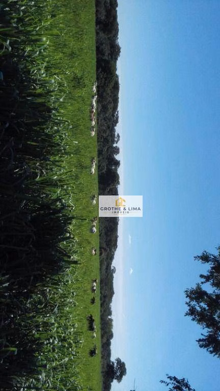 Fazenda de 413 ha em Três Lagoas, MS