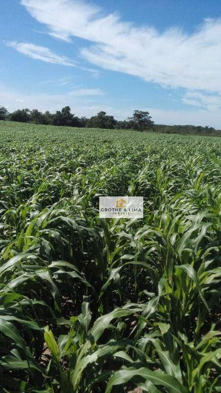 Fazenda de 413 ha em Três Lagoas, MS