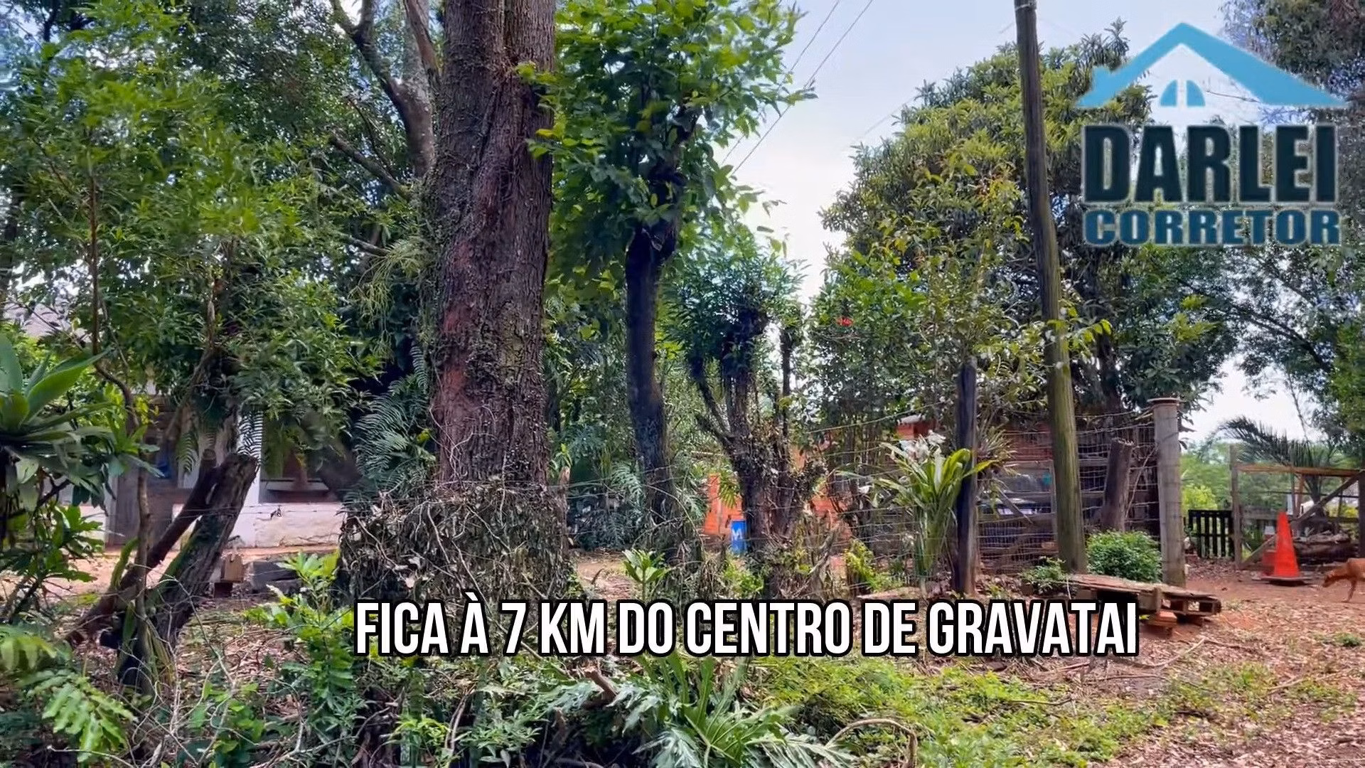 Sítio de 3 ha em Gravataí, RS