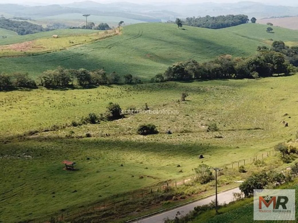 Fazenda de 440 ha em Minduri, MG