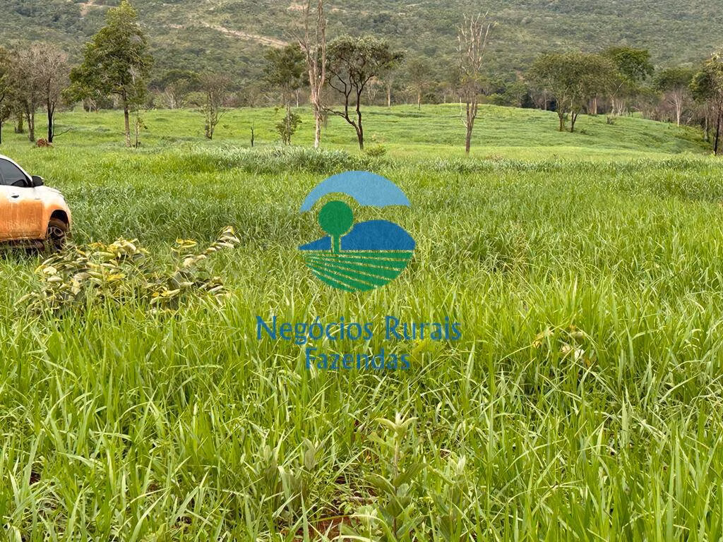 Fazenda de 484 ha em Pirenópolis, GO