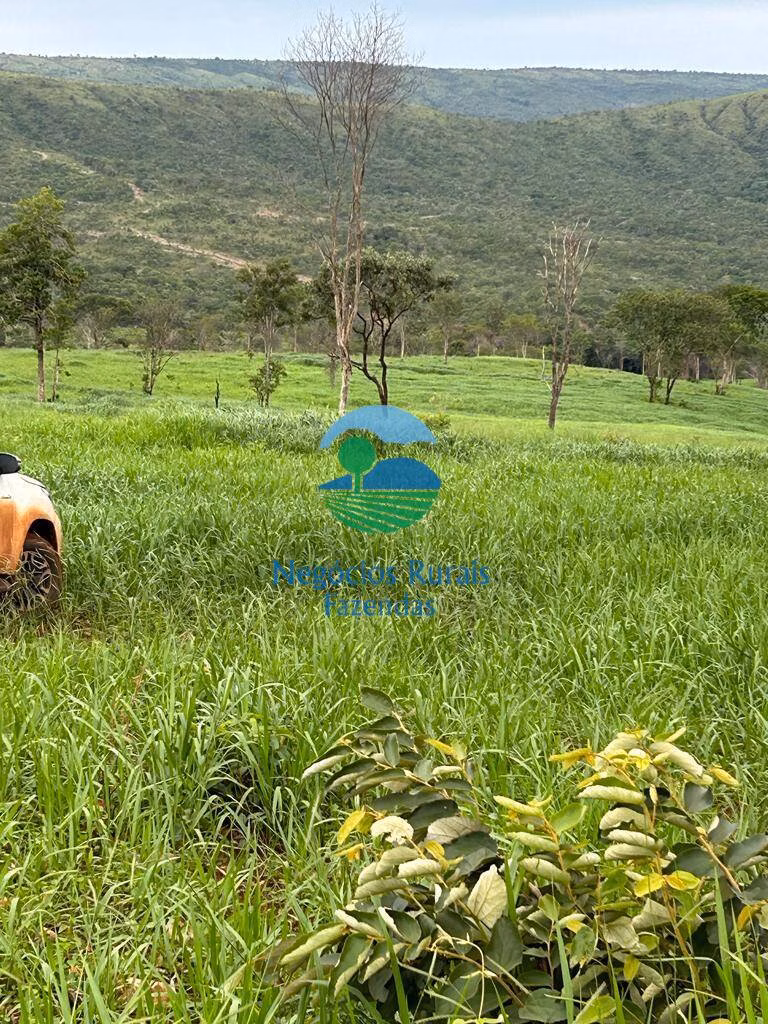 Fazenda de 484 ha em Pirenópolis, GO