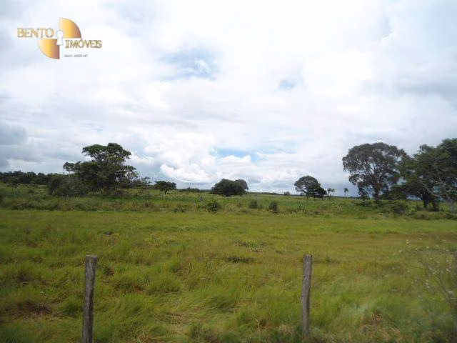 Fazenda de 88.000 ha em Poconé, MT