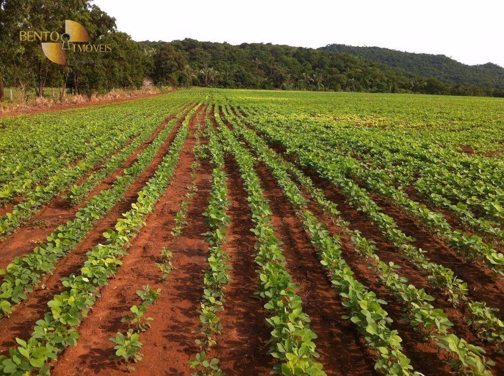 Farm of 9.170 acres in Rosário Oeste, MT, Brazil