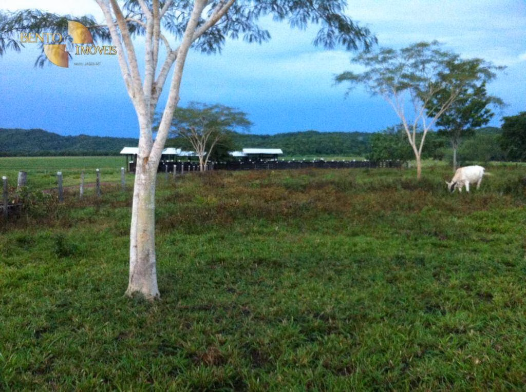 Farm of 9.170 acres in Rosário Oeste, MT, Brazil