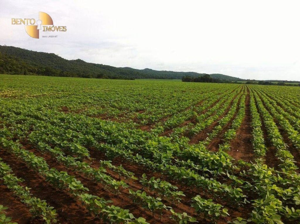 Farm of 9.170 acres in Rosário Oeste, MT, Brazil
