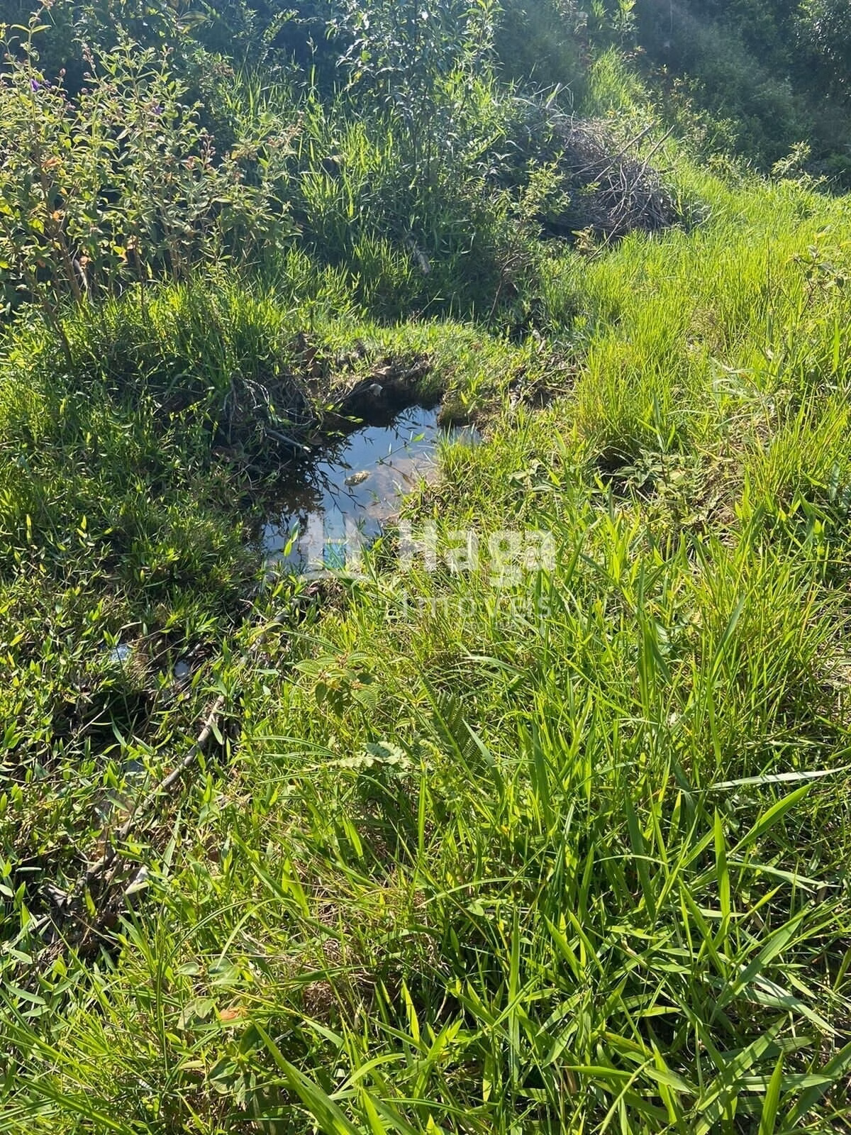 Chácara de 3 ha em Tijucas, SC
