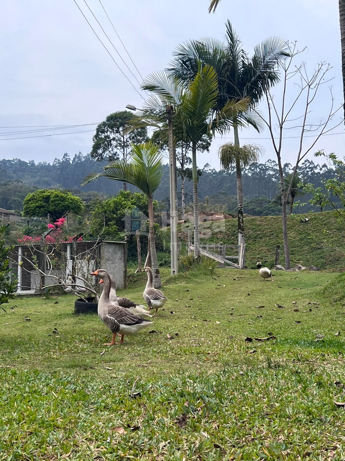 Fazenda de 3.600 m² em Canelinha, SC