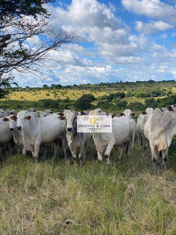 Farm of 2.631 acres in Colinas do Tocantins, TO, Brazil