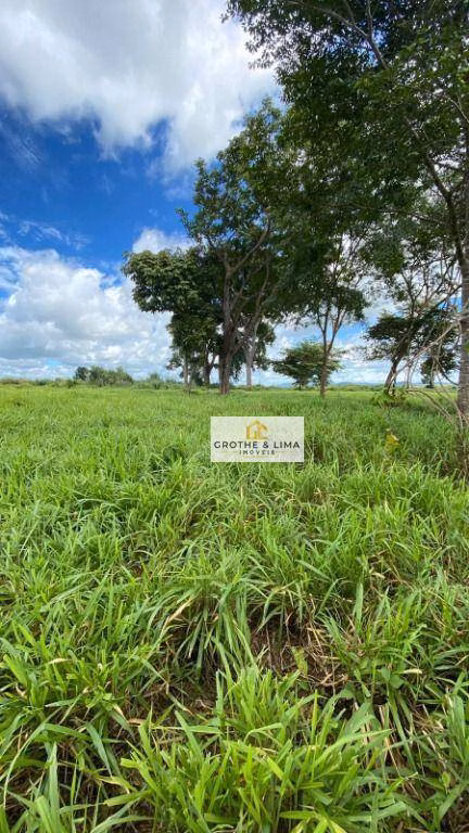 Farm of 2.631 acres in Colinas do Tocantins, TO, Brazil