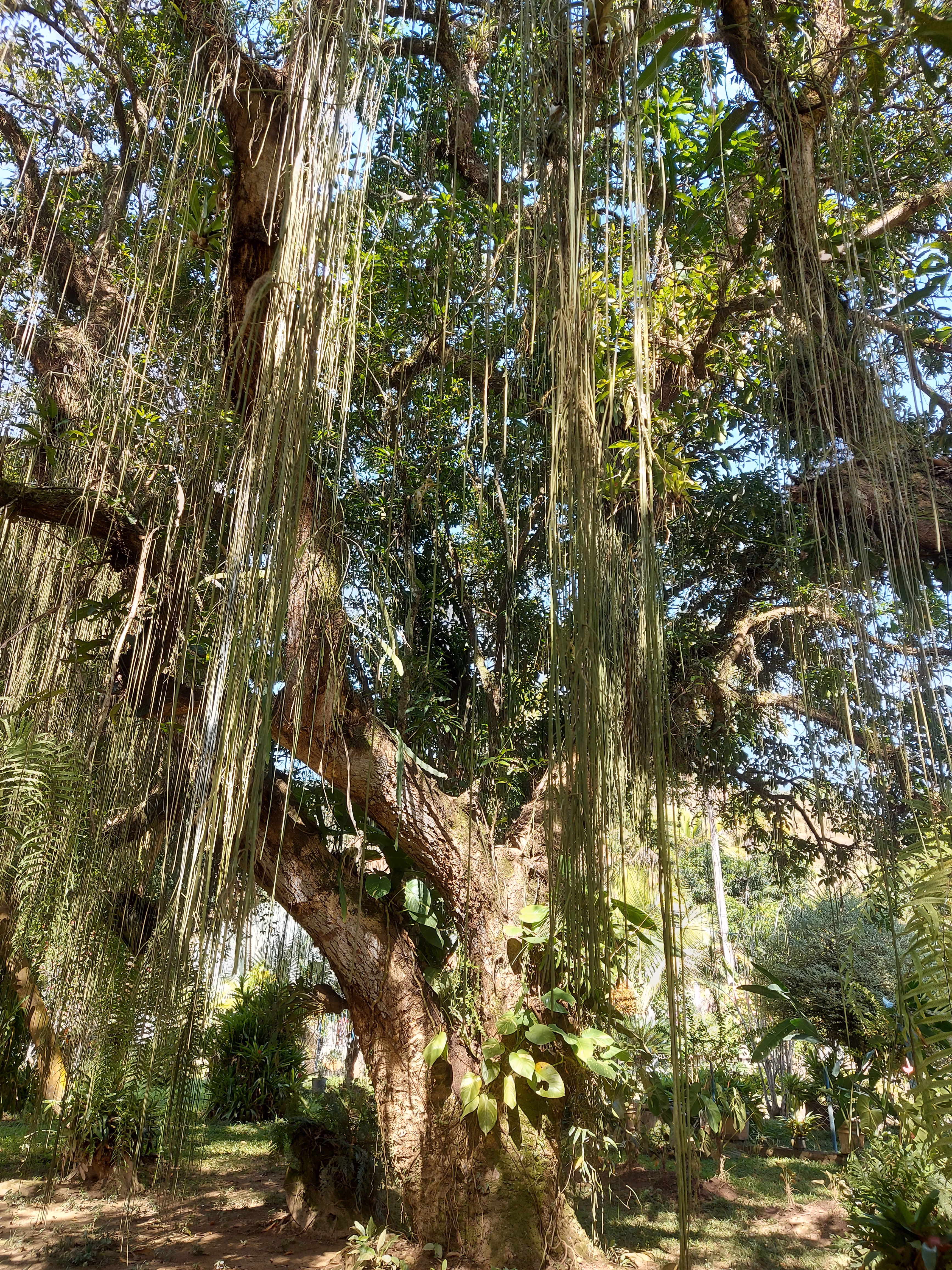 Fazenda de 86 ha em Cantagalo, RJ