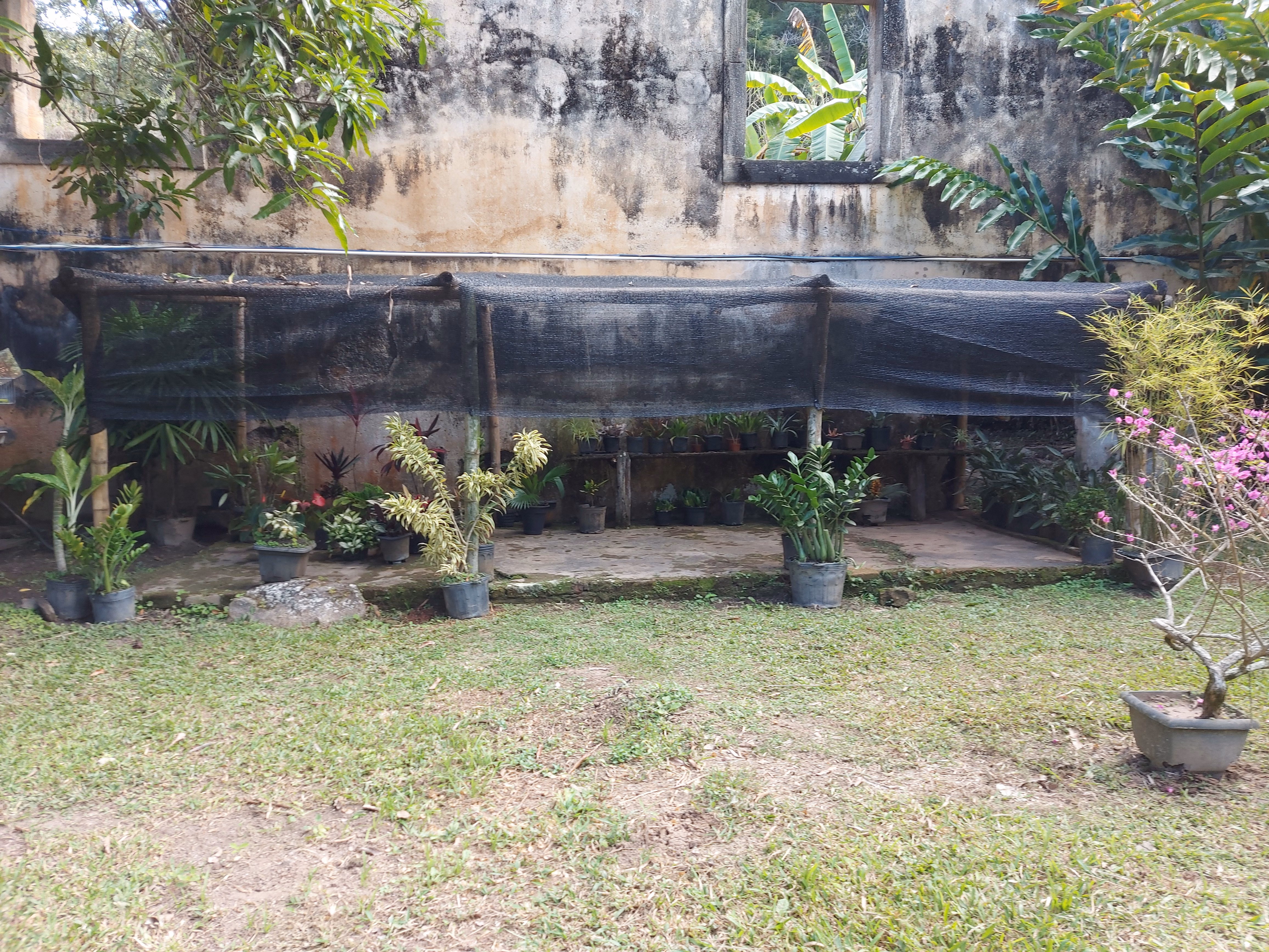 Fazenda de 86 ha em Cantagalo, RJ