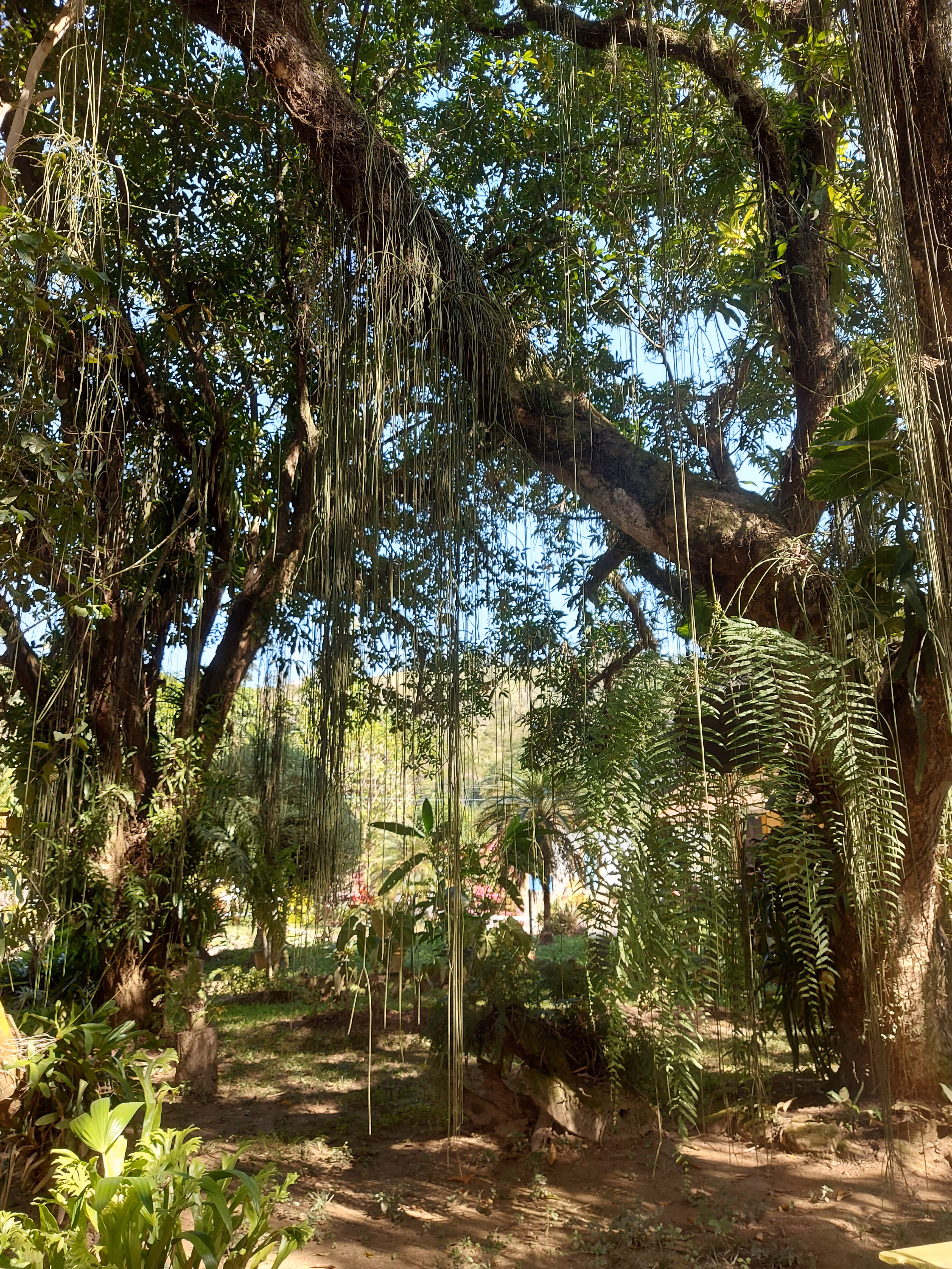 Fazenda de 86 ha em Cantagalo, RJ